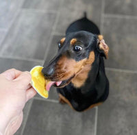 Nuts For Pets - Gold One - 350g
