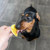 Nuts For Pets - Gold One - 350g