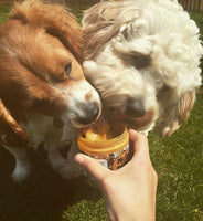 Nuts For Pets - Gold One - 350g
