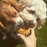 Nuts For Pets - Gold One - 350g