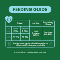 Burgess - Excel Junior and Dwarf Nuggets with Mint Rabbit Food - 3kg