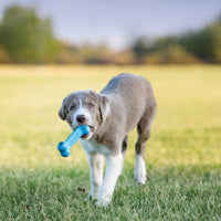 Kong - Puppy Goodie Bone - Small