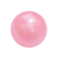 Kong - Puppy Ball With Hole - Medium/Large
