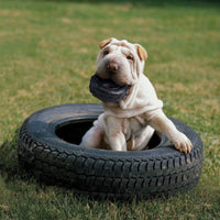 Kong - Tyre Dog - Medium/large