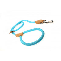 Doodlebone - Originals Rope Lead - Apple - 12mm