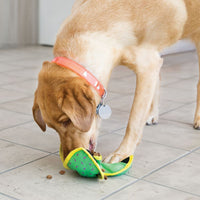 KONG - Ballistic Hide 'N Treat - Assorted colors - Large