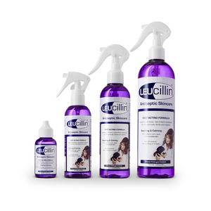 Leucillin - Antiseptic Skin Care Spray - 150ml
