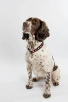 Oscar & Hooch - Dog Collar - Black & Red - X Large