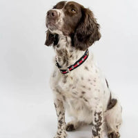 Oscar & Hooch - Dog Collar - Graphite - X Small