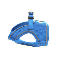 Doodlebone - Originals Snappy Harness - Sapphire - Size 4