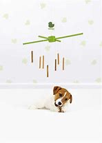 Whimzees - Puppy Veg Chew Sticks - M/L - 7 Pack