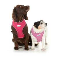 Doodlebone - Originals Pattern Airmesh Harness - Shoot for the Stars - Size 1