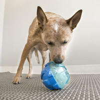 KONG - Rewards Ball - Large
