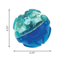 KONG - Rewards Ball - Large
