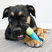 KONG - CoreStrength Blue Bone - Med/Lrg