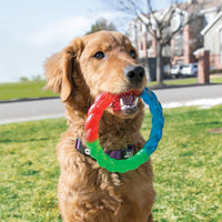 Kong - Twistz Ring - Large