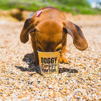 Doggy Doggy Yum Yum - Organic, Vegan Iced Treat for Dogs - Peanut Butter & Banana - 120ml -
