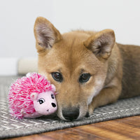 Kong - Puppy Comfort Hedgehug - Medium

