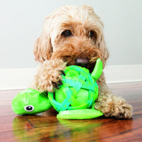 KONG - Sea Shells Turtle - Medium/large