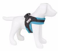 Doodlebone - Boomerang Originals Harness - Violet - Size 6-7