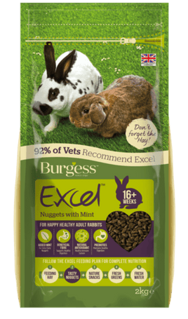 Burgess - Excel Rabbit Nuggets with Mint Adult - 4kg