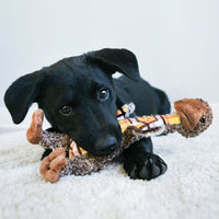 KONG - Shakers Luvs Monkey - Small