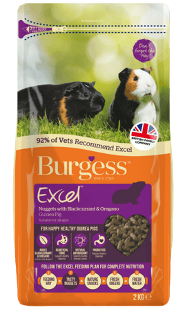 Burgess - Excel Guinea Pig Blackcurrant and Oregano - 2kg