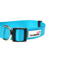 Doodlebone - Originals Collar - Aqua - 3-6
