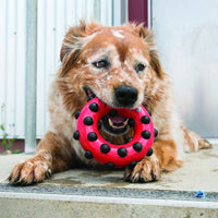 Kong - Dotz Circle - Large
