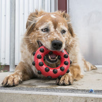 Kong - Dotz Triangle - Small
