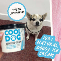 Cool Dog - Blueberry And Banana Ice Cream - 120ml