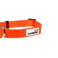 Doodlebone - Originals Collar - Tangerine - 6-11