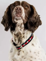 Oscar & Hooch - Dog Collar - Black - Medium