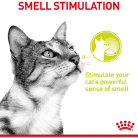 Royal Canin - Sensory Cat Food - Variety Multipack (in gravy)