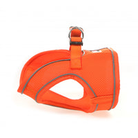Doodlebone - Originals Snappy Harness - Tangerine - Size 6