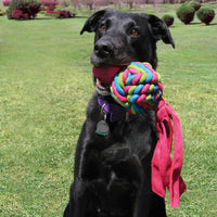 Kong - Wubba Weaves - Assorted - Extra Large