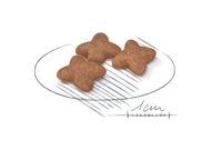 Royal Canin - Adult Mini Dog - 2kg