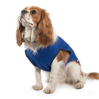 Ancol - Dog Cooling Coat - Small (30cm)