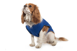 Ancol - Dog Cooling Coat - Small (30cm)