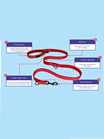 Halti - Double Ended Lead - Black/Silver - Large (2m - max 45kg)