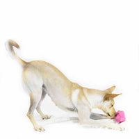 Pet Brands - Monster Treat Release Dog Toy - Pink.