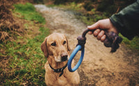 Beco Pets - Beco Hoop on Rope - Small - Blue