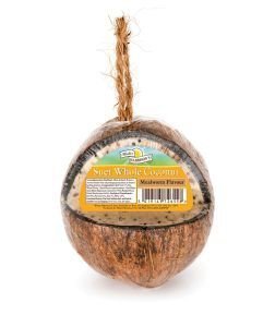 Harrison's - High Energy Suet Feeder - Mealworm - Whole Coconut