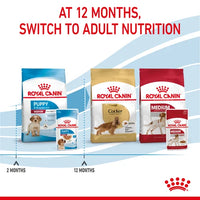 Royal Canin - Medium Puppy Chunks In Gravy - 10 Pack