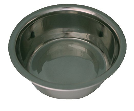 My Pet - Stainless Steel Taper Bowl - 11