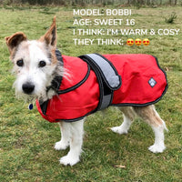 Danish Design - 2 In 1 Dog Coat - Orange - 30cm (12")
