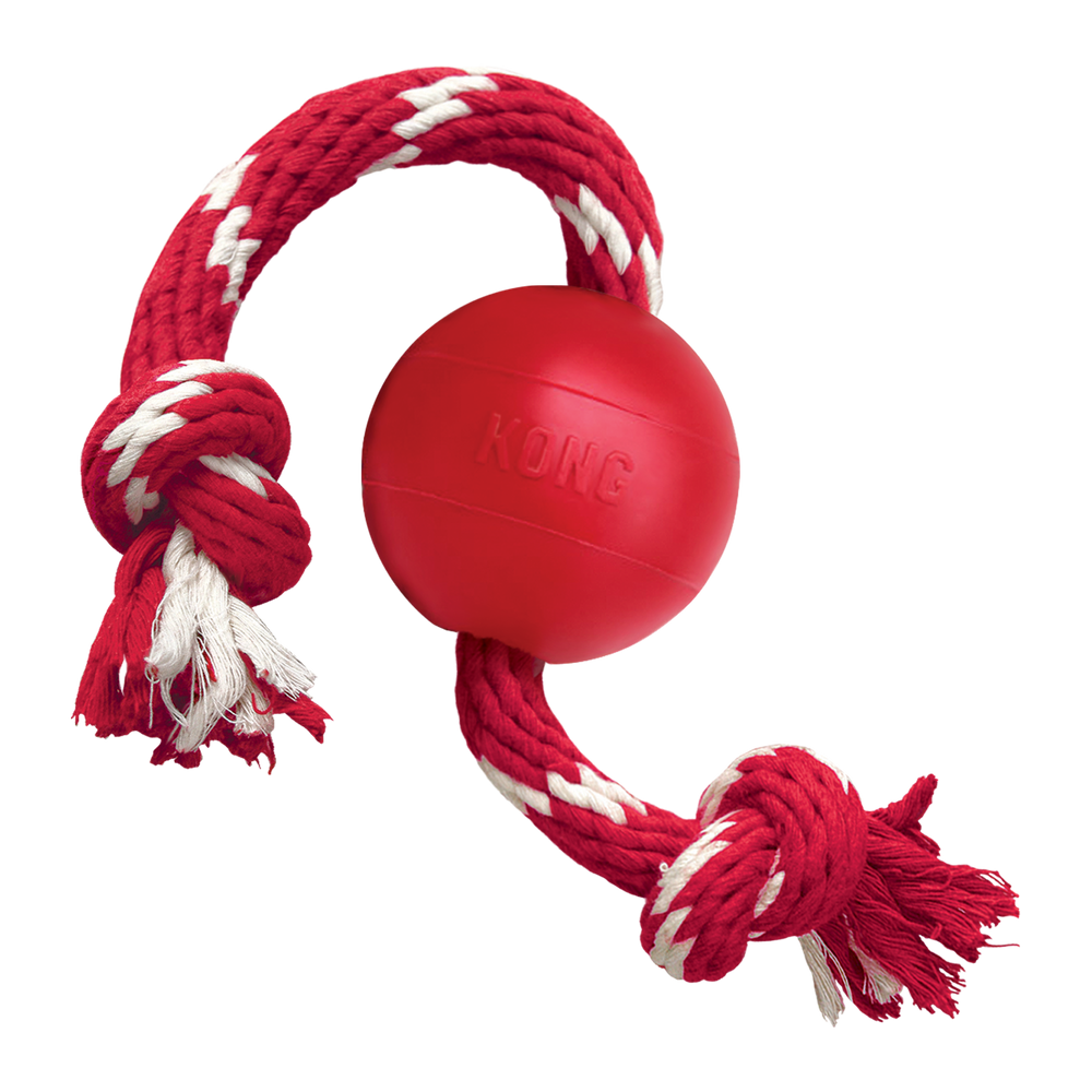 Kong - Ball With rope - Small