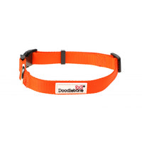 Doodlebone - Originals Collar - Tangerine - 6-11