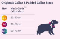 Doodlebone - Originals Collar - Fuchsia - 6-11
