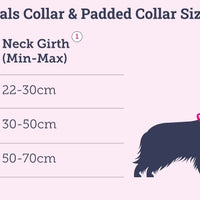Doodlebone - Originals Collar - Aqua - 3-6